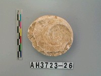 藏品(貝刮器)的圖片